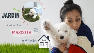 ¡CREA UN JARDIN Y BAÑO PARA TU MASCOTA  DIY [upl. by Aydiv]