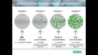 Foundational Counting in ddPCR [upl. by Ahsinotna498]