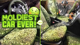 Deep Cleaning the MOLDIEST BIOHAZARD CAR EVER  Satisfying DISASTER Car Detailing Transformation [upl. by Einnahpets79]