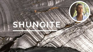 Shungite  The Crystal of Ancestral Healing [upl. by Akenna]