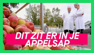 100 soorten appels in je appelsap  KEURINGSDIENST VAN WAARDE KORT 27 [upl. by Nore]