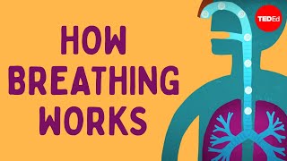 Respiratory  Mechanics of Breathing Pressure Changes  Part 1 [upl. by Nil859]