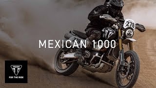 New Scrambler 1200 XE completes Mexican 1000 [upl. by Onairam]