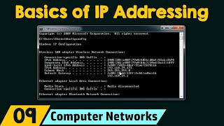 Basics of IP Addressing [upl. by Aerdnaek43]