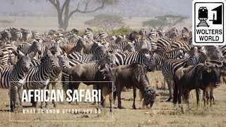 Safari Travel What to Know Before You Go on an African Safari [upl. by Brey325]