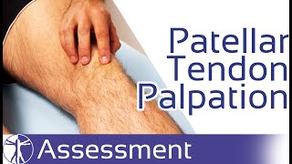 Patellar Tendon Palpation  Patellar Tendinopathy [upl. by Hoashis302]