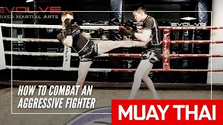 How To Combat An Aggressive Fighter In Muay Thai  Evolve MMA [upl. by Yrian836]