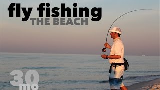 Fly Fishing the Beach  Jack Crevalle amp Ladyfish  Fort Pickens State Park Florida [upl. by Grantham]