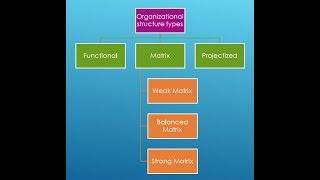 Types Of Organizational Structure  Functional  Matrix  Projectized [upl. by Araec]