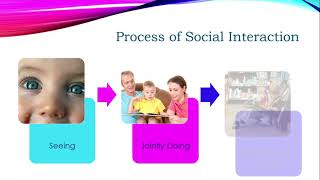 Social Interaction Theory  Vygotsky [upl. by Ennej]