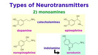 Neurotransmitters Type Structure and Function [upl. by Kalasky193]