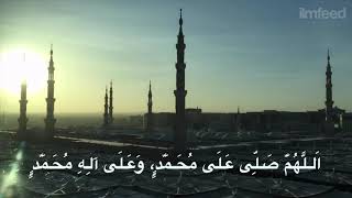 Habibi Ya Rasulullah Tamer Hosny LYRICS BEST SONG [upl. by Otreblif]