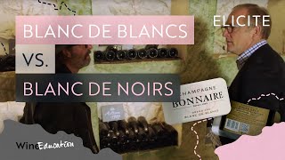 Champagne Types Blanc De Blancs Vs Blanc De Noirs [upl. by Atsirtal]