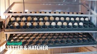 EGG INCUBATOR Fully Digital amp Automatic [upl. by Petersen]