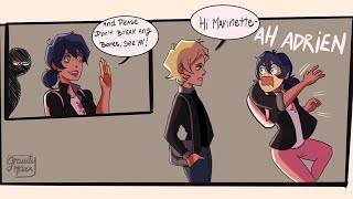 Ladyblac AU  Miraculous Ladybug Comic Dub [upl. by Bounds]