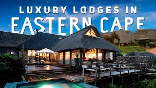 Luxury Lodges in Eastern Cape  South Africa [upl. by Friedrich720]