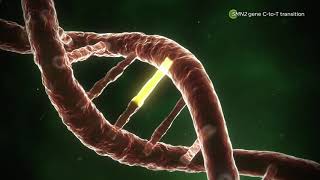 Understanding Spinal Muscular Atrophy SMA [upl. by Driscoll]