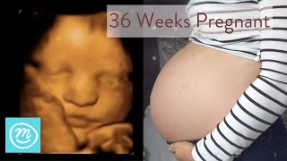 36 Weeks Pregnant What You Need To Know  Channel Mum [upl. by Ttebroc]