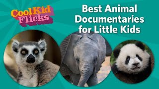 Best Animal Documentaries for Little Kids [upl. by Cock]