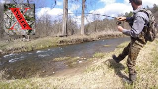 Stream Trout on Jigs  Fishing the driftless area of Southeast Minnesota for trout [upl. by Izak554]