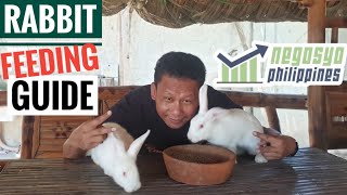 RABBIT FEEDING GUIDE  Negosyo Philippines [upl. by Blondelle]