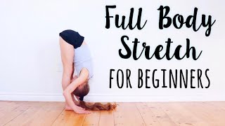 Beginner Stretches for Flexibility [upl. by Michon452]