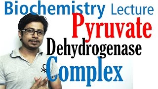 Pyruvate dehydrogenase complex [upl. by Aneema]