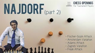 The Najdorf part 2 ⎸Sicilian Defense Theory [upl. by Aurora]