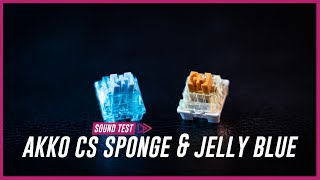 Akko CS Sponge amp Jelly Blue  Ikki68 Aurora Sound Test [upl. by Conover]