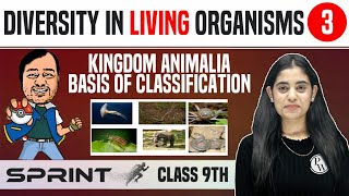 Diversity in Living Organisms 03  Kingdom Animalia  Basis of Classification  Class 9  NCERT [upl. by Cyrano460]