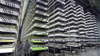 How Aerofarms vertical farms grow produce [upl. by Nurat]