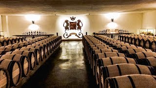 Inside Château Mouton Rosthchild  Bordeaux Winery Tour  Pauillac 2018 [upl. by Kizzie]