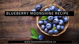 Delicious Blueberry Moonshine [upl. by Patric]