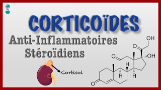 Questce quun Corticoïde  Antiinflamatoires Stéroidïens [upl. by Oiliruam]