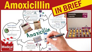 Amoxicillin and Clavulanic Acid  Augmentin  Augmentin Uses Dosage Side Effects amp Precautions [upl. by Delinda]