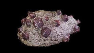 Geology 11 Metamorphic Rocks [upl. by Aisinut658]