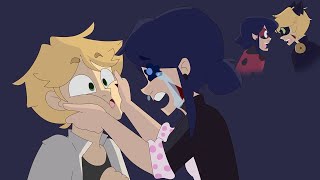 The Reveal Part 1 Miraculous Ladybug Comic Dub [upl. by Akemhs]