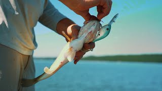 Berkley Dredger Crankbait Pro Fishing Techniques Revealed by Josh Bertrand [upl. by Yornoc]