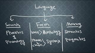 SEMANTICS1 What is Semantics [upl. by Lonier662]