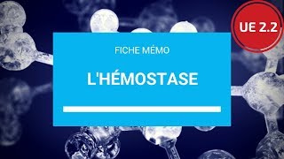 UE 22  lHémostase [upl. by Dygall]