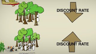 CostBenefit Discounting [upl. by Payson]