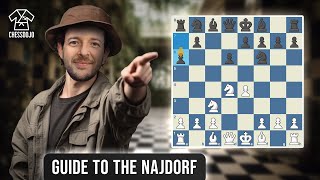 The Najdorf Sicilian  Dojo Repertoire Guide [upl. by Lecrad]