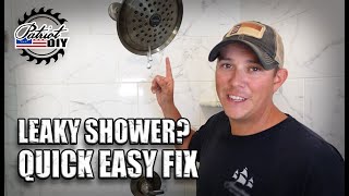 DIY Shower Repair Tutorials [upl. by Ojillek]