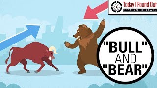 Why are Bull and Bear Markets Called That [upl. by Amoritta]