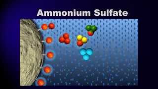 Bioprocessing Part 3 Purification [upl. by Dalton]