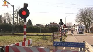 DUTCH RAILROAD CROSSING  Maarheeze – Stationslaan [upl. by Gitlow610]