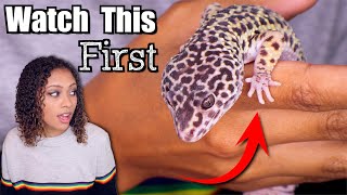 Leopard Gecko Tips For Beginners [upl. by Teddie]