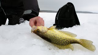 Ice Fishing Basin Crappies in Northern Minnesota  In Depth Outdoors TV S15 E12 [upl. by Ees]