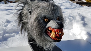 An American Werewolf in London David Kessler Wolf Bust Prop Replica [upl. by Nnylarat984]