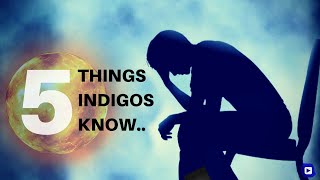 5 Things Only IndigosLightworkers Know [upl. by Dazhahs756]